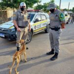 Fotos: Divulgação / Brigada Militar