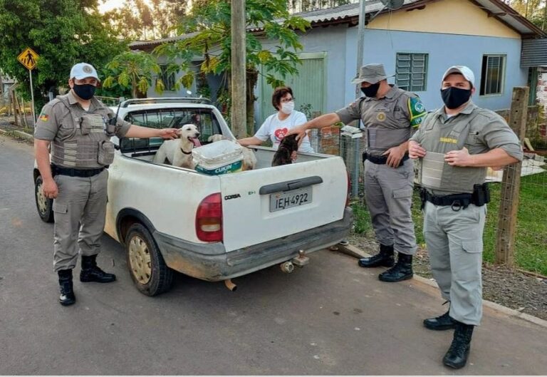 Doentes e famintos: BM resgata cães vítimas de maus-tratos em Taquari