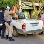 Fotos: Divulgação / Brigada Militar