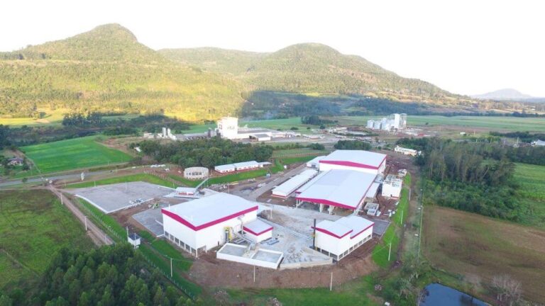 Dia da avicultura: A Dália está ajudando a alimentar o mundo