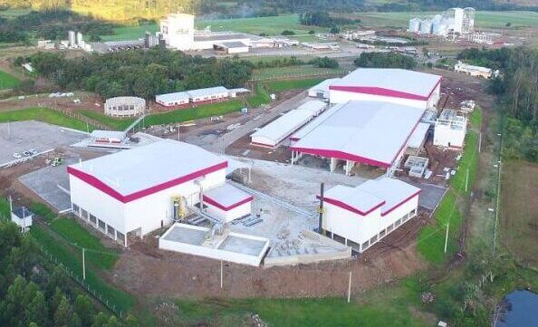 Dia da avicultura: A Dália está ajudando a alimentar o mundo