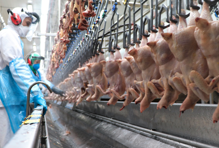 Dália recebe certificado e pode exportar carne de frango a países de origem muçulmana
