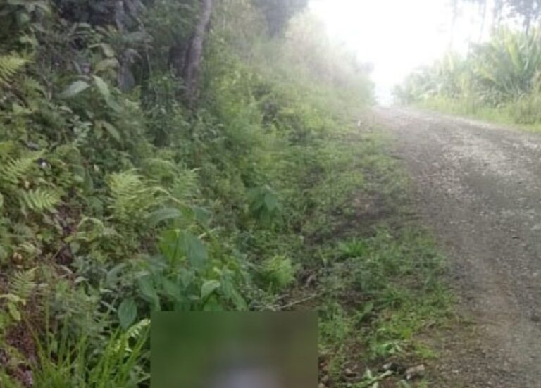 Homem é executado no interior de Muçum