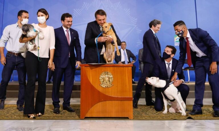Bolsonaro sanciona lei Sansão de proteção animal