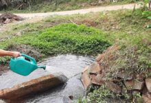 A Secretaria da Saúde, Meio Ambiente e Assistência Social está realizando aplicação do BTI no controle da proliferação de mosquitos em arroios de todo o município. 