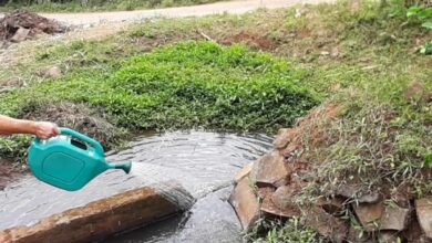 A Secretaria da Saúde, Meio Ambiente e Assistência Social está realizando aplicação do BTI no controle da proliferação de mosquitos em arroios de todo o município. 