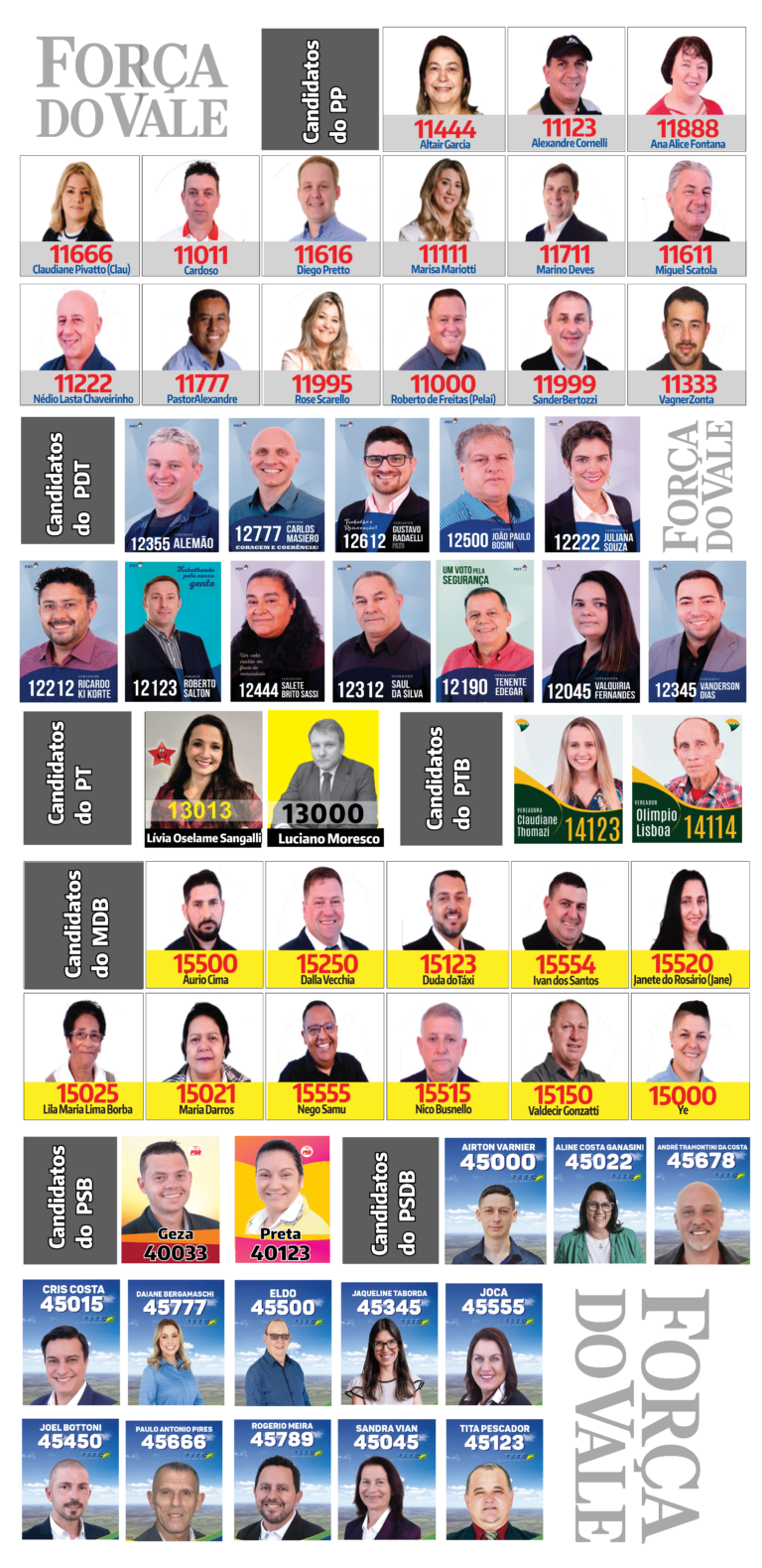 Confira os candidatos à Câmara de Vereadores de Encantado