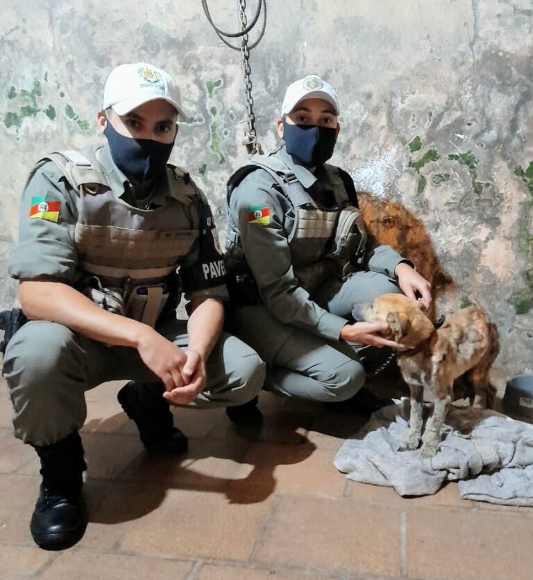 BM de Teutônia prende dono por maus tratos a animal