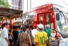 Profissionais de transporte serão prioridade em vacinação contra a Covid-19