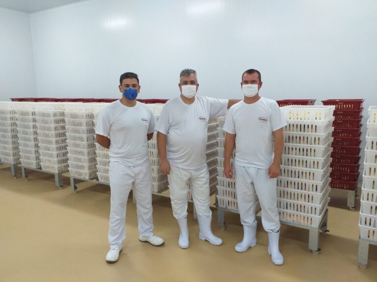 Primeiro lote de pintinhos produzidos no ASA são encaminhados a Condomínio Anta Gorda