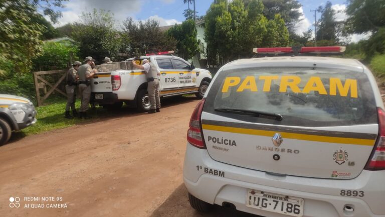 Homem é enquadrado na Maria da Penha e preso também por crime ambiental
