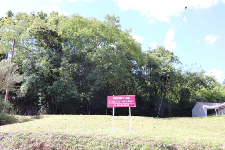Dália colocou à venda quatro terrenos em Progresso