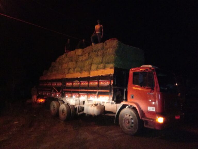 9 toneladas: produtor viaja 500 km para sofrer golpe em Caxias do Sul