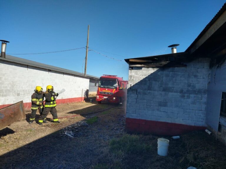 Aviário é parcialmente queimado após painel de controle pegar fogo