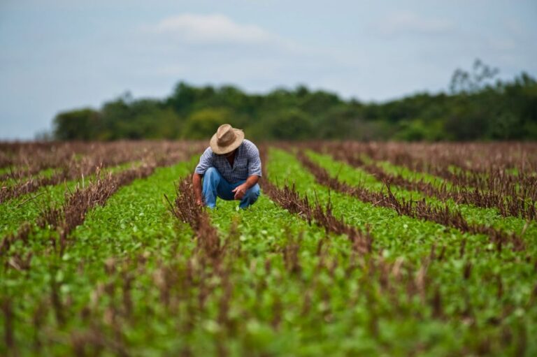 Mais de R$ 200 mil serão pagos a agricultores de Encantado