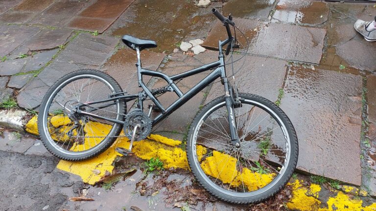 Homem rouba bicicleta de irmão, ameaça policial e é preso
