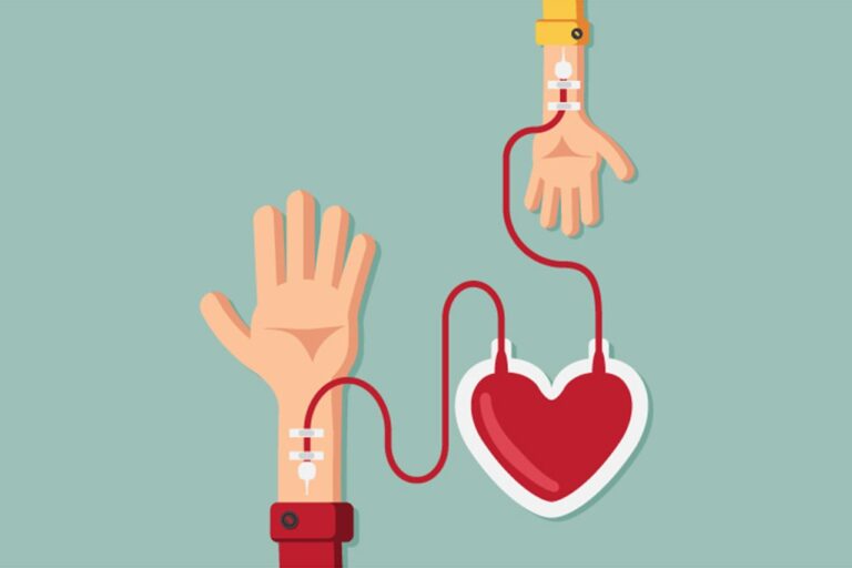 Mitos e verdades sobre a doação de sangue