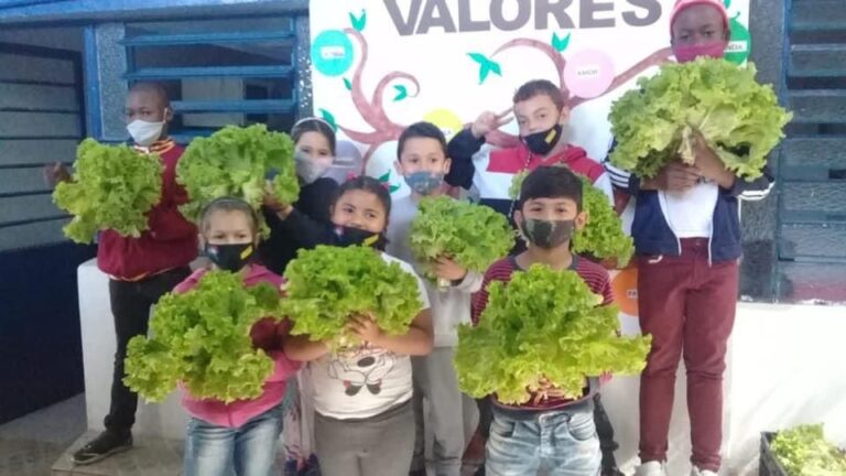 Horta do Presídio de Encantado abastecerá entidades do Município