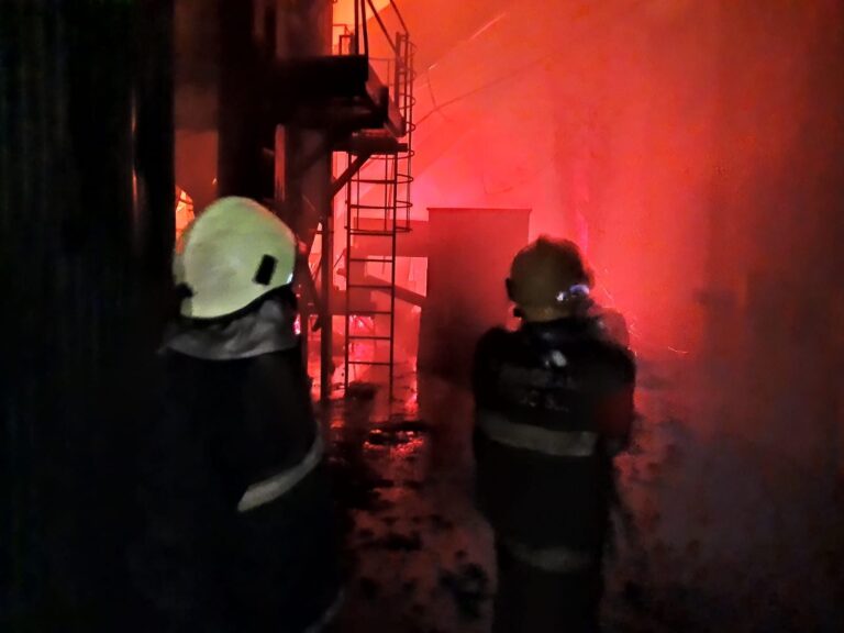 Incêndio consome indústria de erva mate em Anta Gorda