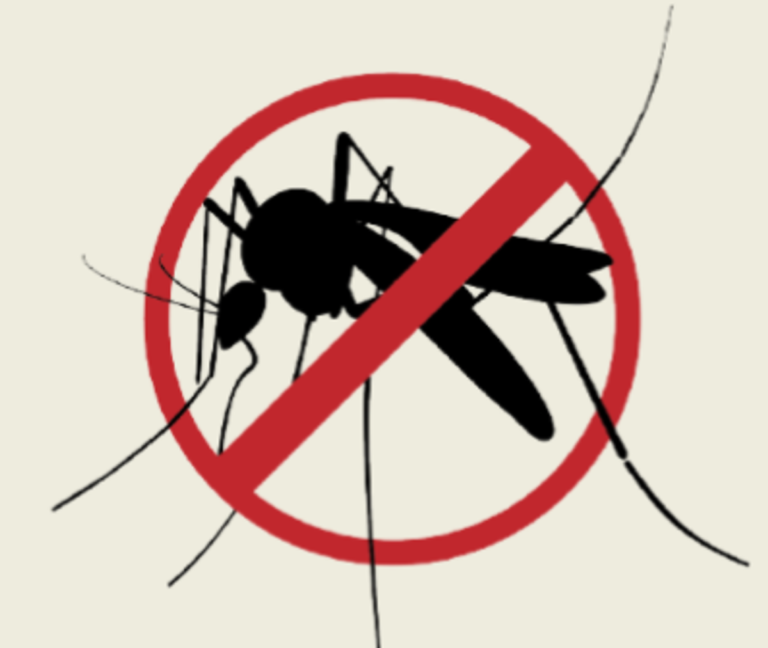 Maior volume de chuvas e altas temperaturas favorecem a proliferação do mosquito Aedes aegypti