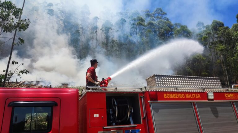 Vale do Taquari registrou incêndios ambientais em quase todos os dias de dezembro