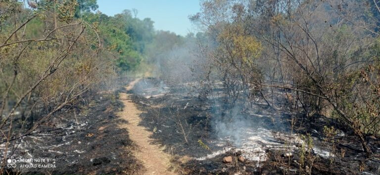 Bombeiros controlam princípio de incêndio no Bairro Marmit, em Estrela