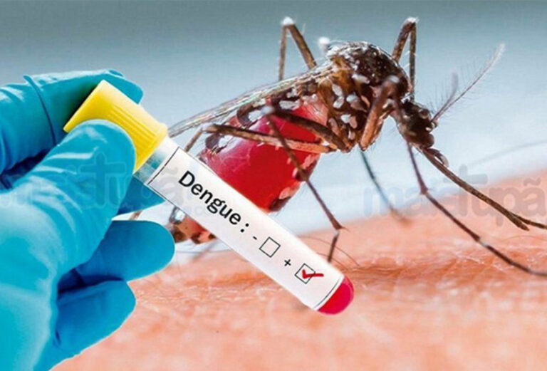 Primeiro óbito por dengue em Lajeado; a vítima é um adolescente de 13 anos