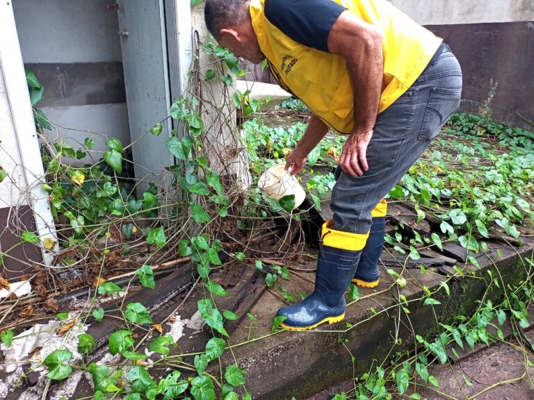 Encantado registra primeiros casos de dengue; Veja como se prevenir e saiba quais são os principais sintomas