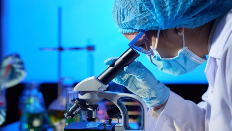 Pesquisa da UFRGS cria software que pode agilizar reprodução assistida
