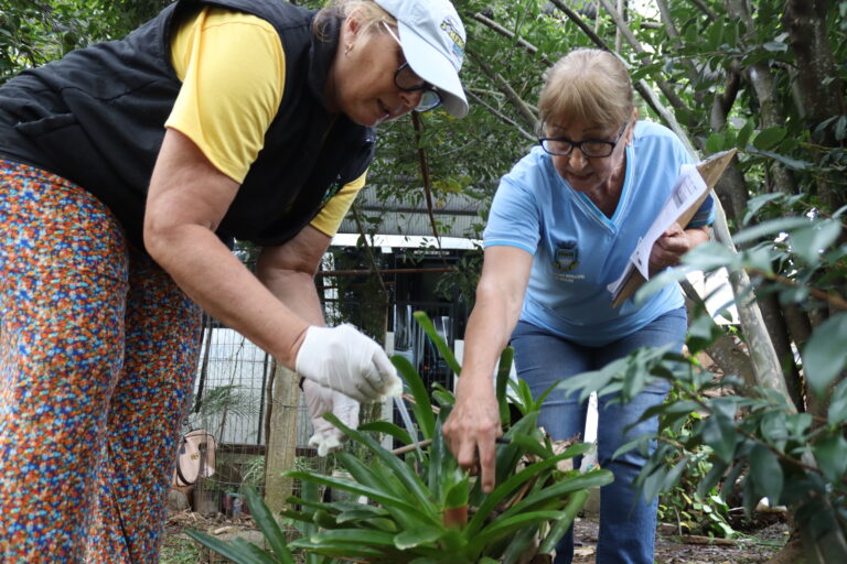 Agentes de Saúde de Muçum atuam no combate à dengue