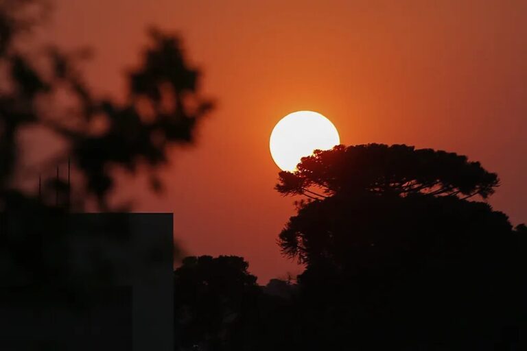 Organização Mundial da Saúde afirma que mundo mais quente pode levar a 9 milhões de mortes por ano