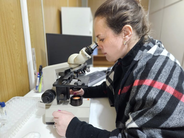 Laboratório para combate ao mosquito da Dengue começa a funcionar na próxima semana