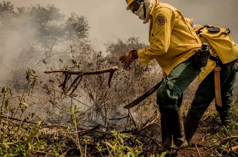 Incêndios no Pantanal já consumiram este ano mais de 15% do bioma