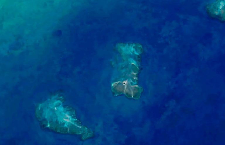 Pesquisa aponta 20,4 mil hectares de recifes de coral na costa do país