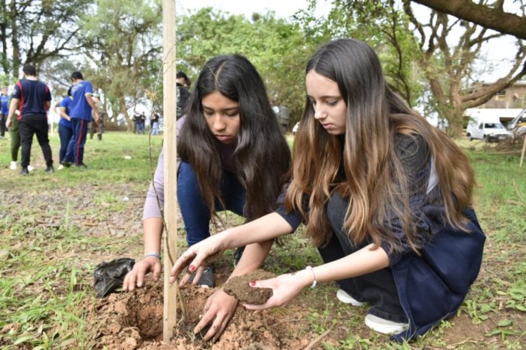Em nova ação do projeto SemeAr, centenas de mudas de árvores são plantadas no Vale do Taquari