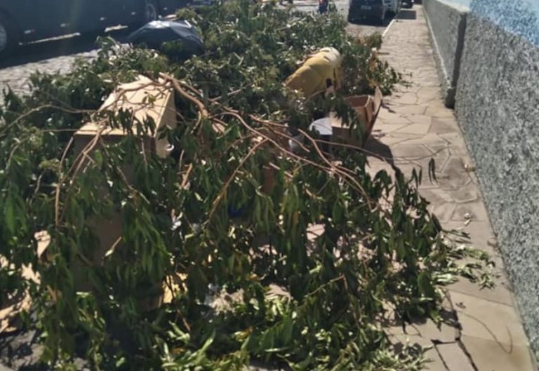 Confira o cronograma regular de Coleta de Entulhos em Encantado