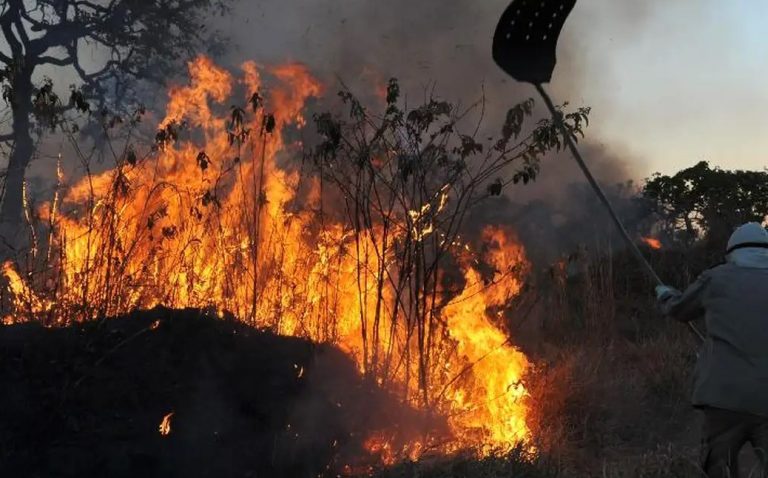 MPF aciona justiça para contratação de brigadistas contra incêndios