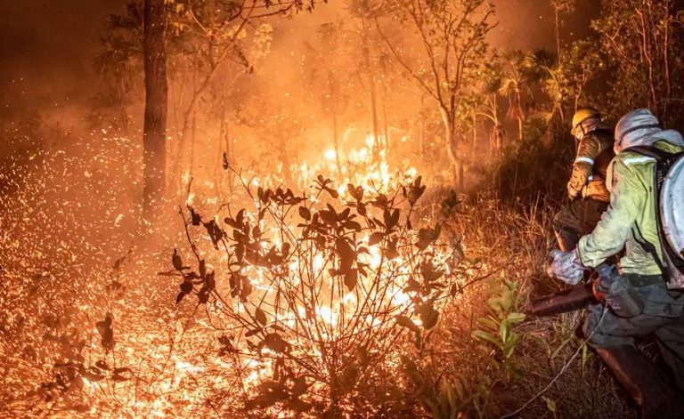 Monitoramento mostra que 99% dos incêndios são por ação humana