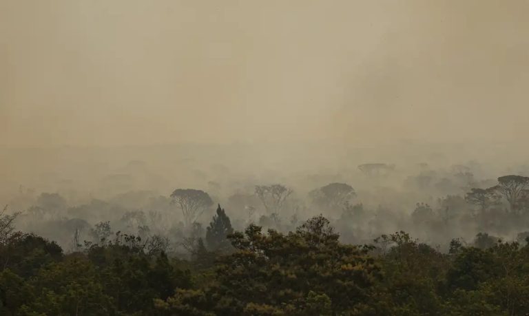 Área queimada no Brasil até novembro quase dobra em relação a 2023