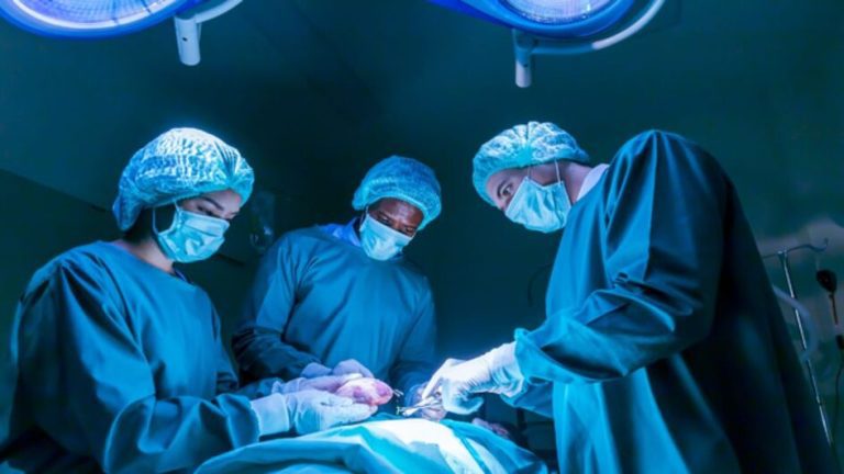 Rio Grande do Sul realizou 1,6 mil transplantes de órgãos em 2024, aumento de 5,6% em relação ao ano anterior
