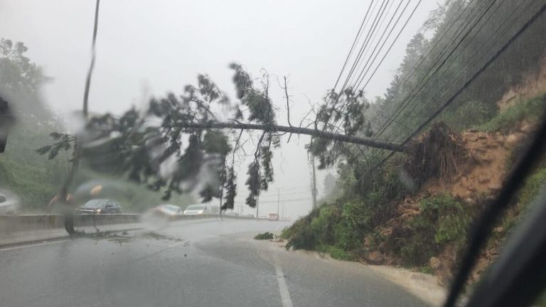 Após chuvas, dez cidades de Santa Catarina decretam situação de emergência
