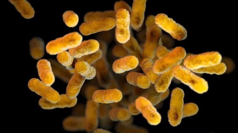 Primeira morte por coqueluche em 2025 é registrada no Rio Grande do Sul