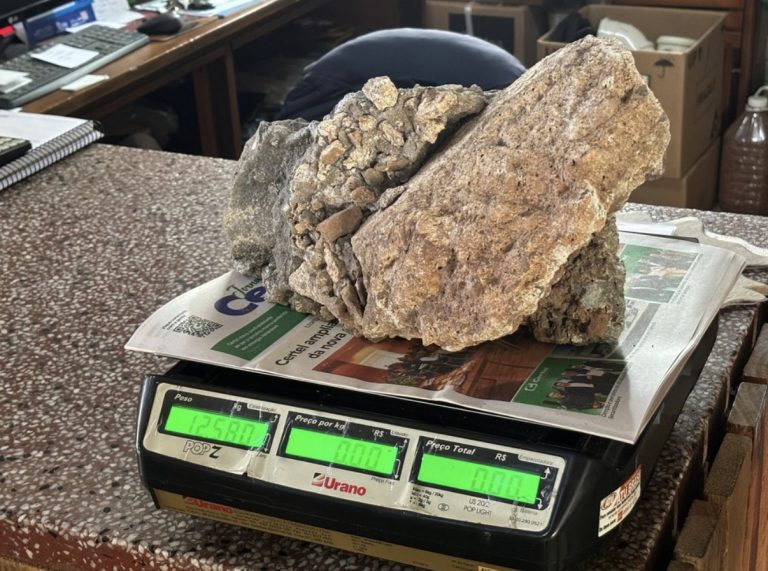 Caminhoneiro morre ao ser atingido por pedra de 12 kg na BR-386, em Lajeado