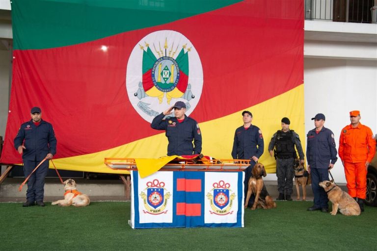 Guapo, cão de busca e salvamento do Corpo de Bombeiros do RS, morre aos 11 anos