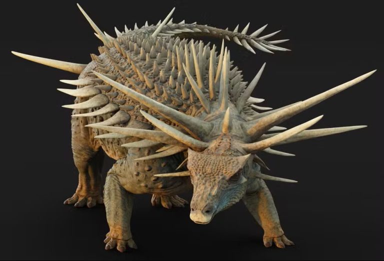 Descoberto dinossauro com armadura de espinhos ósseos nunca registrada antes