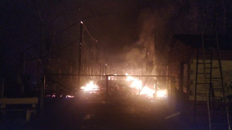 Incêndio destrói aviário em Linha Argola, no interior de Encantado