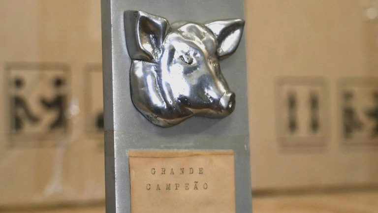 Acervo do Museu Brasileiro da Suinocultura será apresentado na Câmara de Encantado