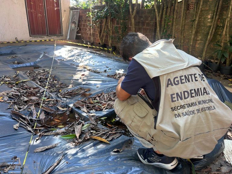 Vale registra queda de 86% nos casos de dengue, mas sintomas estão mais graves