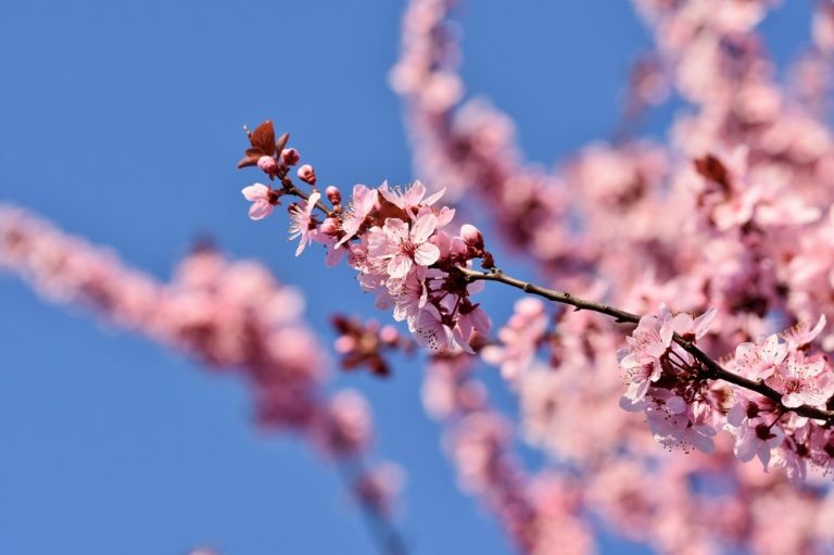 Primavera começa no RS com frio, risco de estiagem e chance de novo La Niña