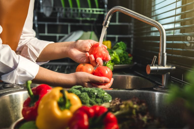 Encantado sedia curso de boas práticas para manipuladores de alimentos